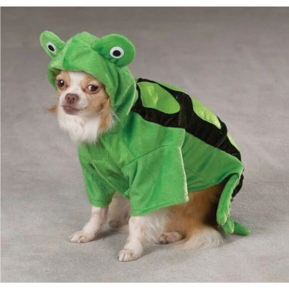 Zack & Zoey Dog Puppy Green SEA TURTLE Halloween Costume Photos Plush Size XL - Picture 12 of 12